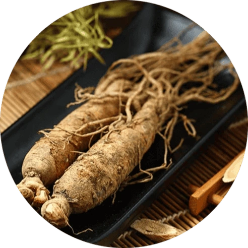Panax Ginseng Extract
